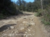 Camí a l'Església de Sant Esteve de Briolf – Sant Miquel de Campmajor