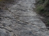 Camí a l'Església de Sant Esteve de Briolf – Sant Miquel de Campmajor