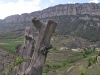 Vistes des de l'Església de la Mare de Déu de la Salut de Montanissell
