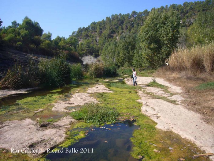 Calders - Riu Calders - Estiu 2011.