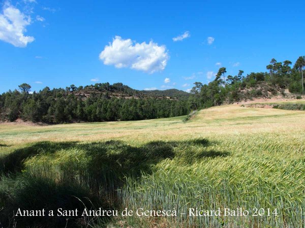 Anant a l'Església de Sant Andreu de Genescà – Gaià