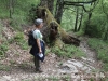 Camí d'accès a l'Església de Sant Andreu de Porreres – Vall de Bianya. Durant el recorregut podrem trobar alguns arbres de mides notables, alguns de vius i altres de morts  ...