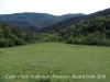 Camí d'accès a l'Església de Sant Andreu de Porreres – Vall de Bianya