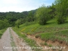 Camí d'accès a l'Església de Sant Andreu de Porreres – Vall de Bianya