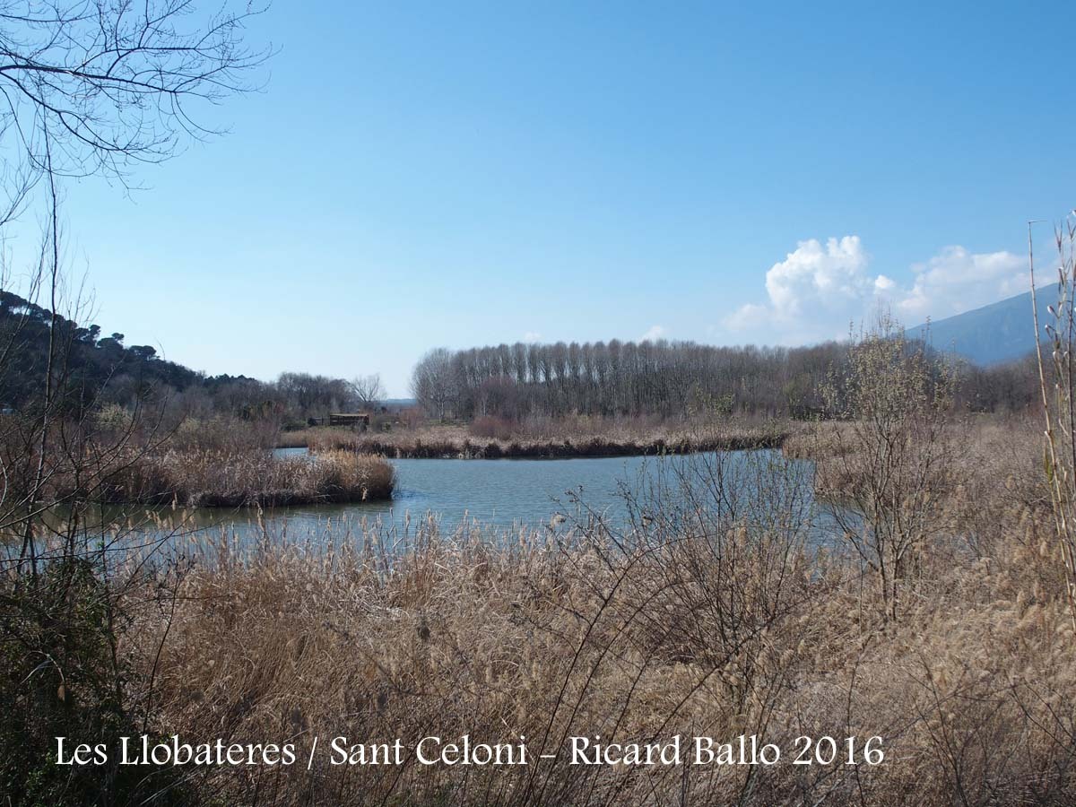 Les Llobateres - Sant Celoni