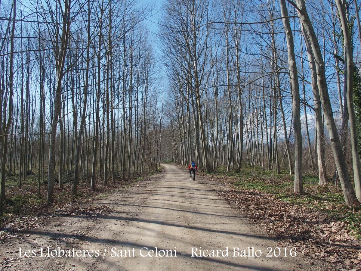 Les Llobateres - Sant Celoni