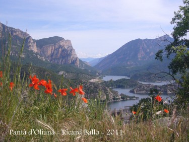 Vista del pantà d'Oliana, des de Castell-llebre.