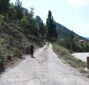 Camí a l\'Església de Sant Andreu del Pujol del Racó – La Coma i La Pedra