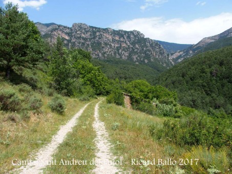 Camí a l'Església de Sant Andreu del Pujol del Racó – La Coma i La Pedra