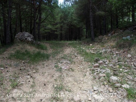 Camí a l'Església de Sant Andreu del Pujol del Racó – La Coma i La Pedra