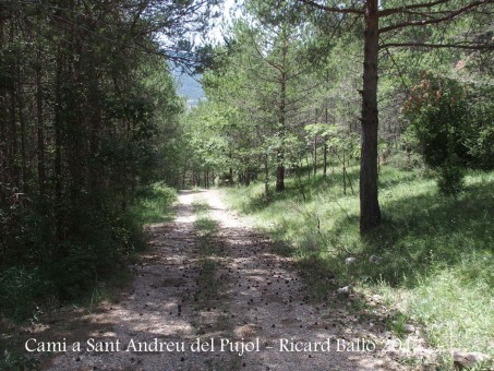 Camí a l'Església de Sant Andreu del Pujol del Racó – La Coma i La Pedra