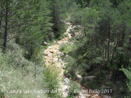 Camí a l'Església de Sant Andreu del Pujol del Racó – La Coma i La Pedra