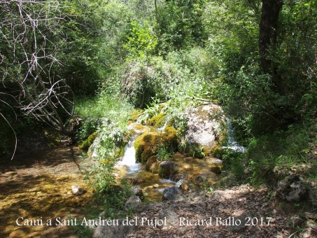 Camí a l\'Església de Sant Andreu del Pujol del Racó – La Coma i La Pedra