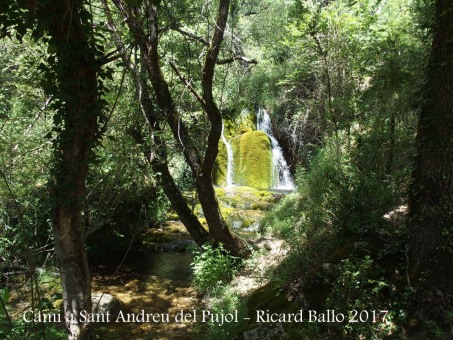 Camí a l\'Església de Sant Andreu del Pujol del Racó – La Coma i La Pedra