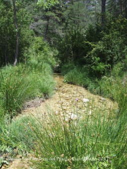 Camí a l\'Església de Sant Andreu del Pujol del Racó – La Coma i La Pedra