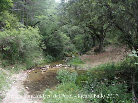 Camí a l\'Església de Sant Andreu del Pujol del Racó – La Coma i La Pedra