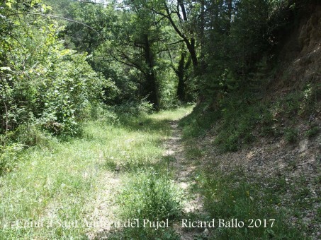 Camí a l\'Església de Sant Andreu del Pujol del Racó – La Coma i La Pedra