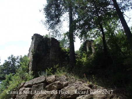 Camí a l\'Església de Sant Andreu del Pujol del Racó – La Coma i La Pedra