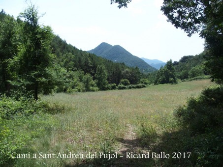 Camí a l\'Església de Sant Andreu del Pujol del Racó – La Coma i La Pedra