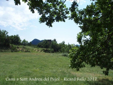 Camí a l'Església de Sant Andreu del Pujol del Racó – La Coma i La Pedra