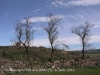 Església de Sant Genís de la Vall dels horts – Sant Fruitós de Bages