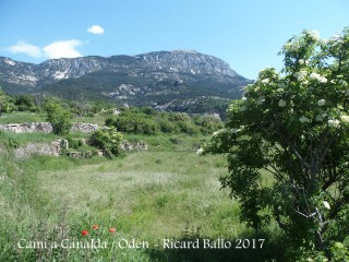 Camí a l\'església de Església de Sant Joan de Canalda – Odèn