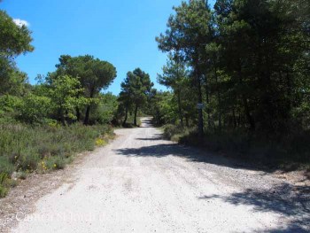 Camí d'accés a l'Església de Sant Jordi de Lloberes – Gaià i a Sant Miquel de Terradelles - Santa Maria de Merlès