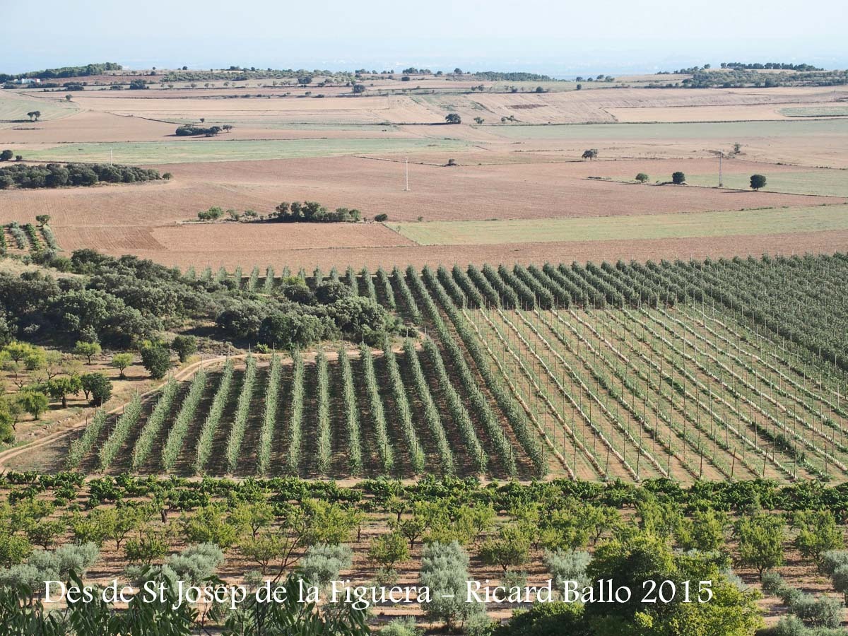 Vistes des de l'Església de Sant Josep de la Figuera – Algerri