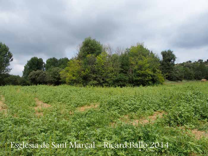 Església de Sant Marçal – Puig-reig