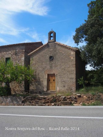 Ermita de la Mare de Déu del Bosc / L'Espunyola