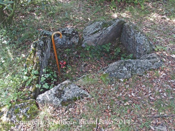 Ermita de la Mare de Déu del Bosc / L'Espunyola - Cromlec.