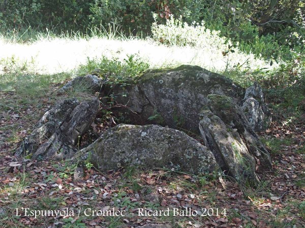 Ermita de la Mare de Déu del Bosc / L'Espunyola - Cromlec.