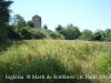 sta-eulalia-de-riuprimer-080621_508