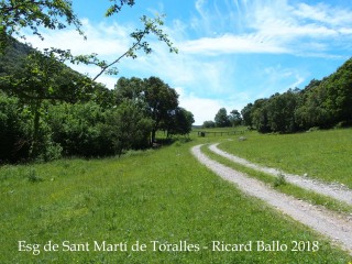 Camí a l'Església de Sant Martí de Toralles