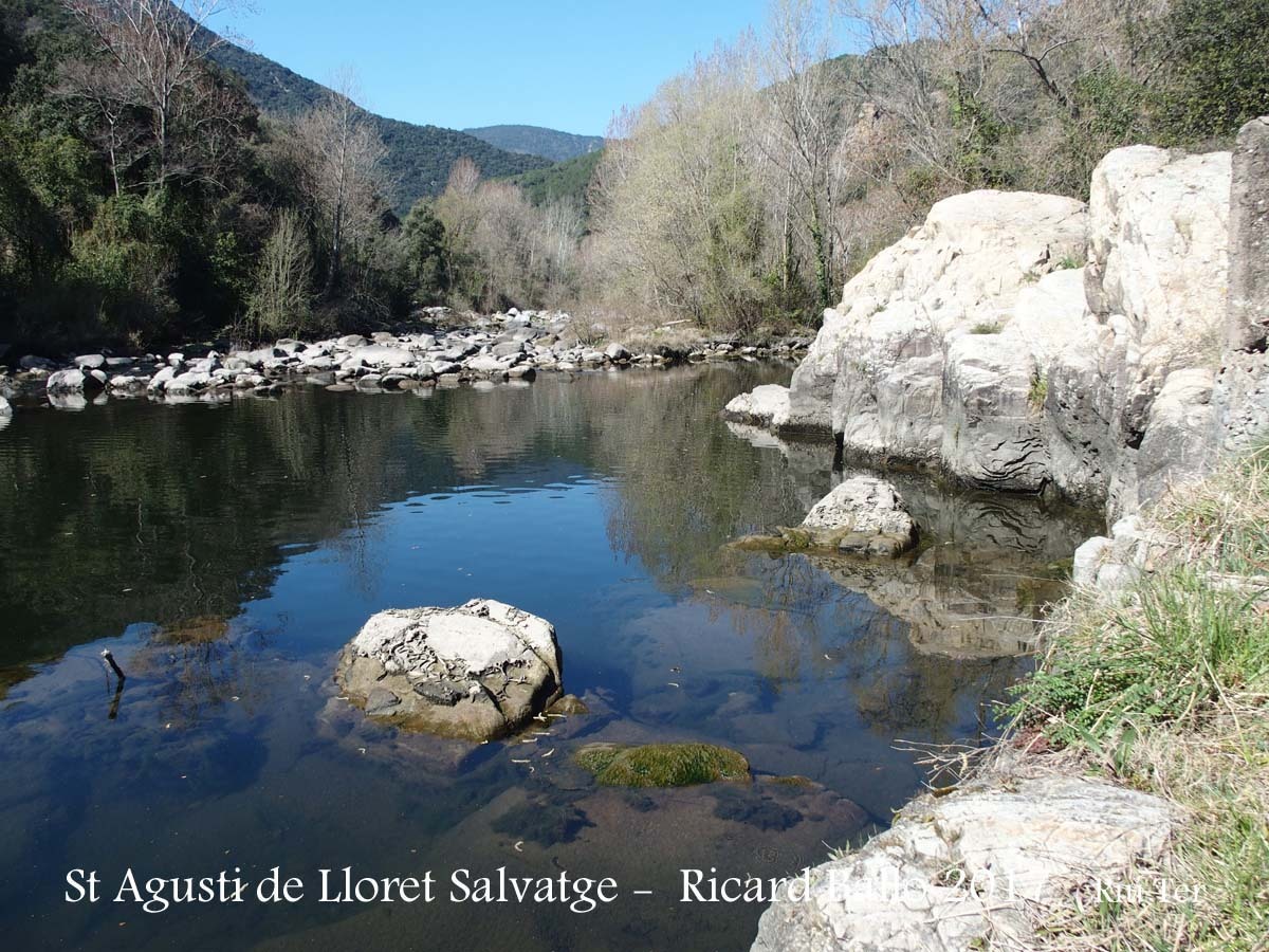 Camí d\'accés a l\'Església de Sant Miquel de Maifré i també a l\'Ermita de Sant Agustí de Lloret Salvatge / Osor