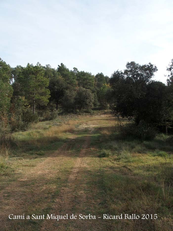 Església de Sant Miquel de Sorba – Montmajor - Camí d'accés