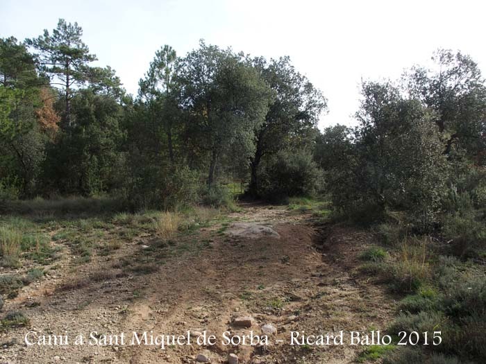 Església de Sant Miquel de Sorba – Montmajor - Camí d'accés