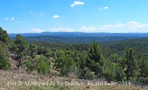 Vistes des de l'església romànica de Sant Miquel de Terradelles