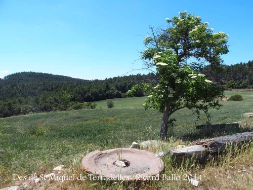 Vistes des de l'església romànica de Sant Miquel de Terradelles