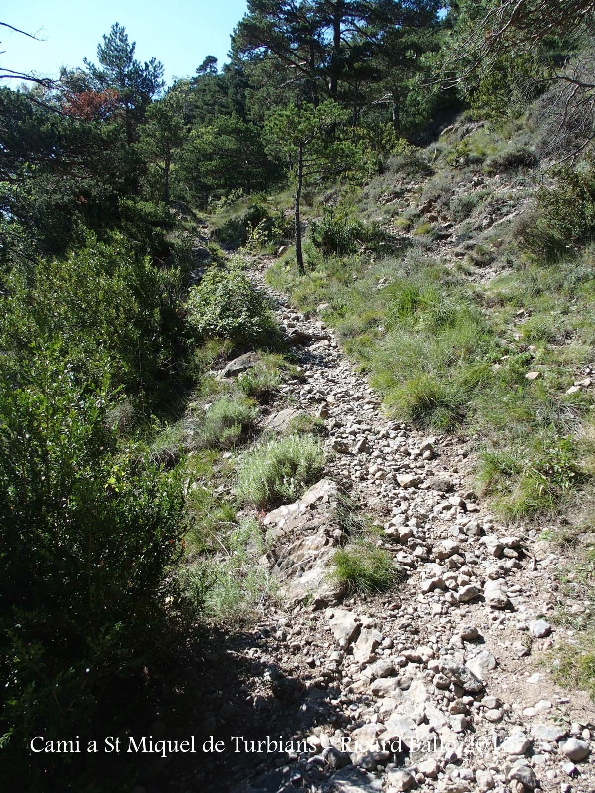 Camí a l'Església de Sant Miquel de Turbians – Gisclareny