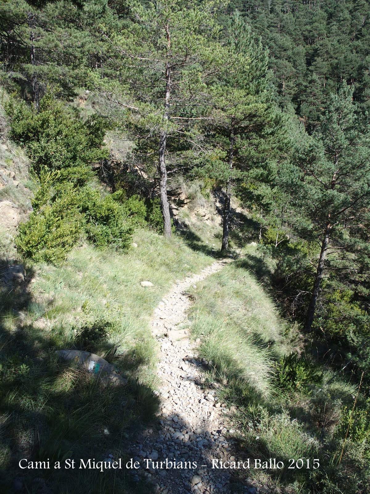 Camí a l'Església de Sant Miquel de Turbians – Gisclareny