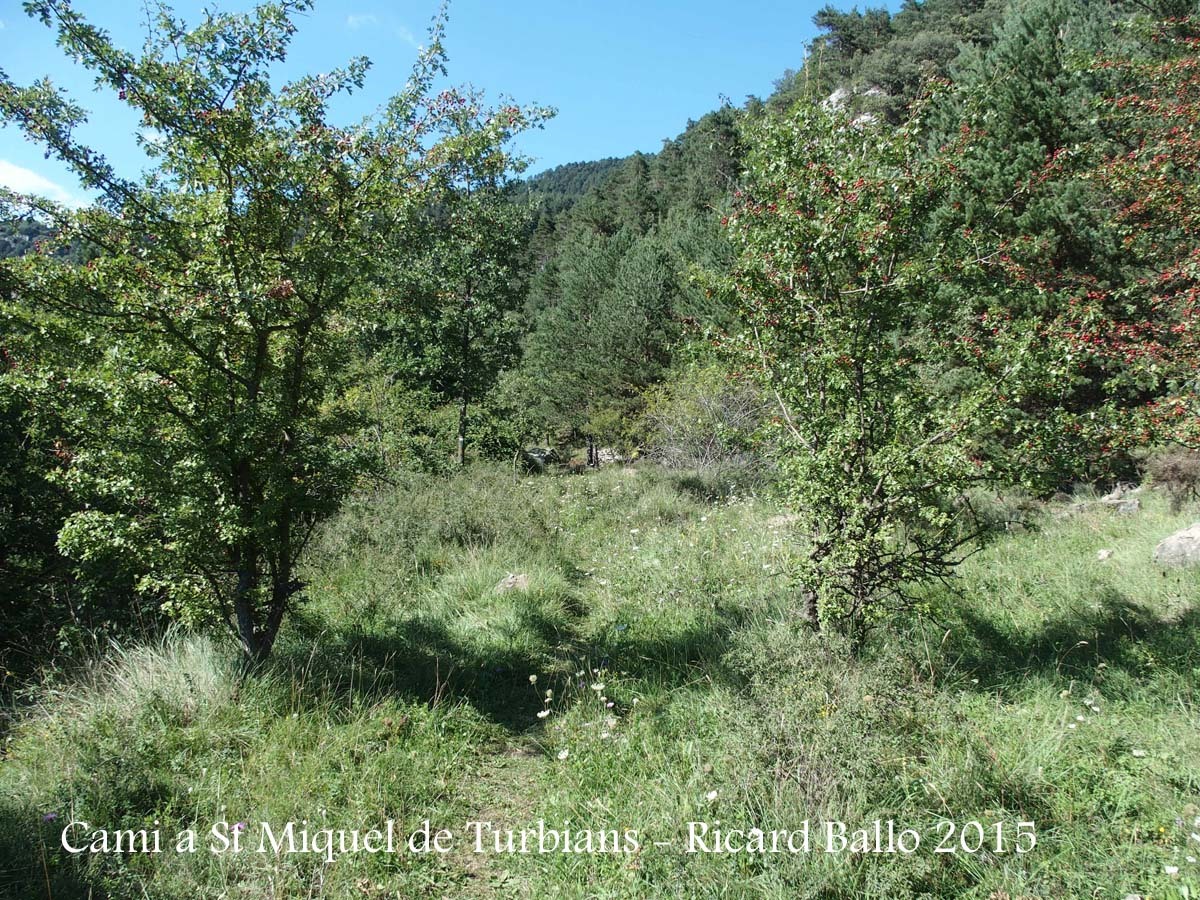 Camí a l'Església de Sant Miquel de Turbians – Gisclareny