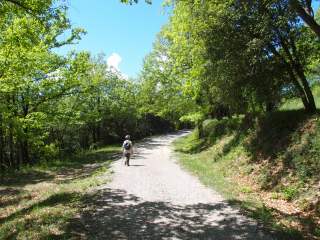 Un tram del camí d'accés a l'Església de Sant Miquel del Mont