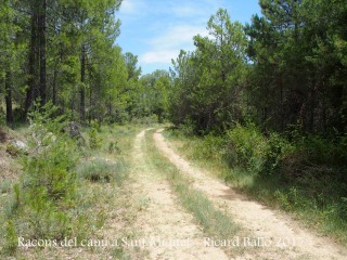 Església de Sant Miquel del Soler de Gramoleda – Navès - Camí.