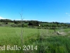 El Bages - Ricard Ballo 2014