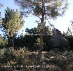 Església de Sant Pere Cercada – Santa Coloma de Farners - Camí - Pedres del dofí.