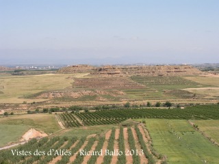 Vistes des de l'església parroquial de Sant Pere - Alfés.