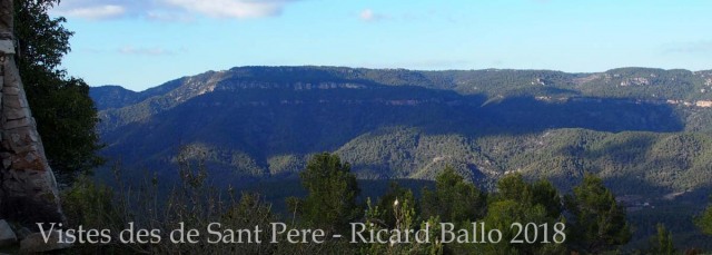 Vistes des de l'Església de Sant Pere de Mont-ral