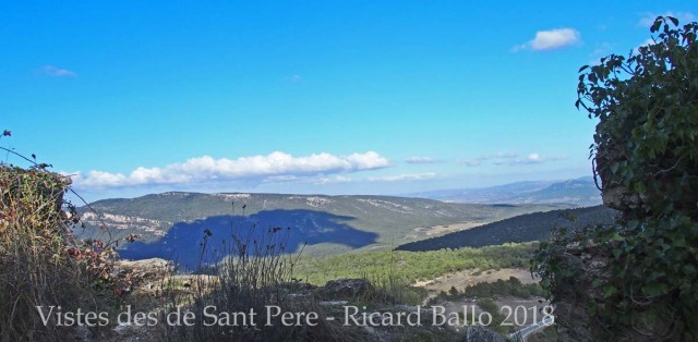 Vistes des de l'Església de Sant Pere de Mont-ral