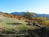 Vistes desde l'Església de Sant Pere de Montcalb – Guixers